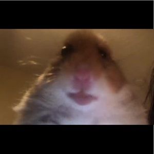 Meet your Posher, Colin